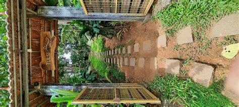 Tulsi Village Retreat Treehouse And Cabin Stays Munnar Villa Book ₹1