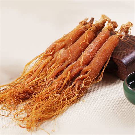 Study Red Ginseng And Muscle Growth