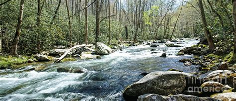 Greenbrier Great Smoky Mountains National Park Photograph
