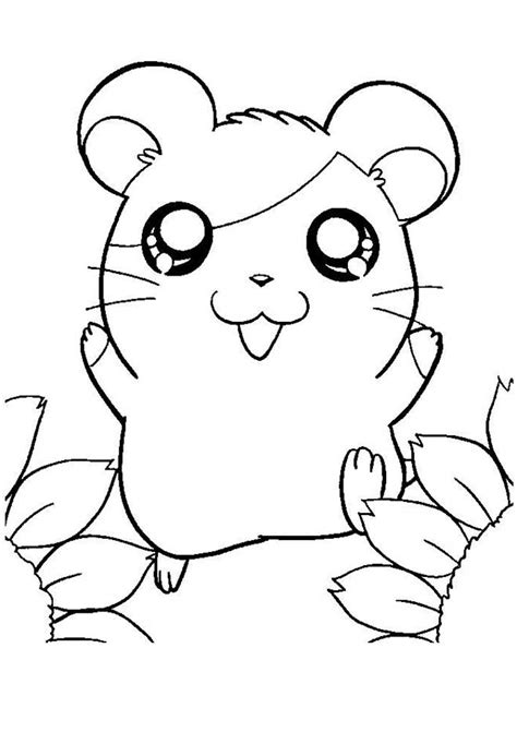 35 Desenhos De Hamster Para Imprimir E Colorir Pintar