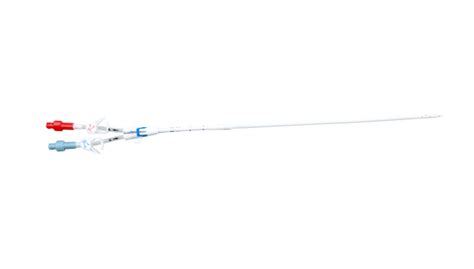 glidepath™ retro long term hemodialysis catheter 5393190r bd