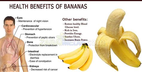 Banana Is Most Usable Fruit Which Is Rich In Iron Increase Brain Powerprovide Instant Energy