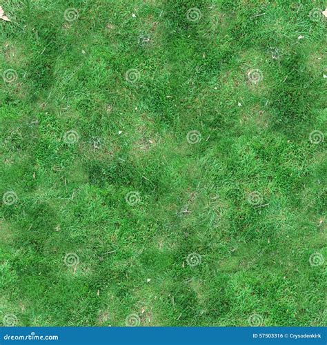 Green Grass Seamless Tile Texture Stock Photo Image Of Background