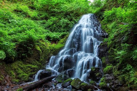 Stones Waterfall Forest Beautiful Views Wallpapers