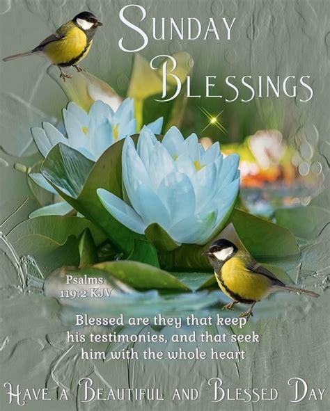 Sunday Blessings Psalm Pictures Photos And Images For Facebook
