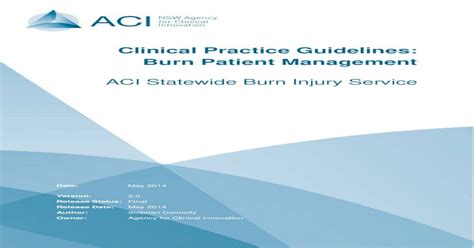 Burn Patient Management Clinical Practice Guidelines Pdf Document