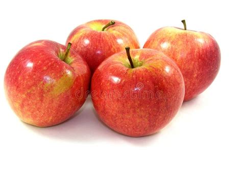 Four Fresh Shiny Apples Stock Photo Image Of Produce 1785554