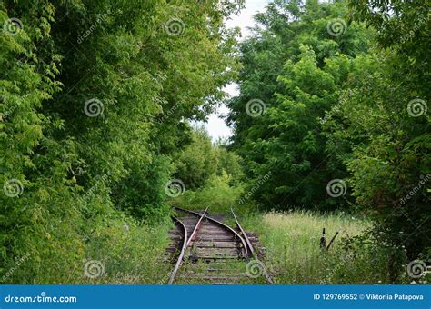 Two Narrow Railway Tracks Rails Divergent Paths Place The Transfer