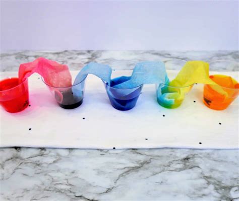 Easy Rainbow Walking Water Experiment For Kids Made In A Pinch