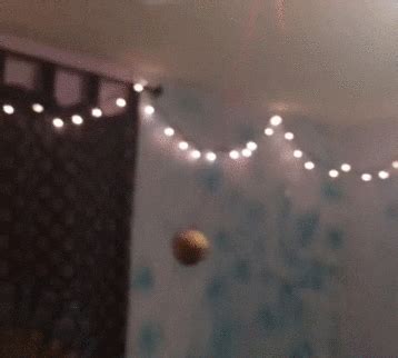 A potato flew around my room. Room Potato GIF - Find & Share on GIPHY
