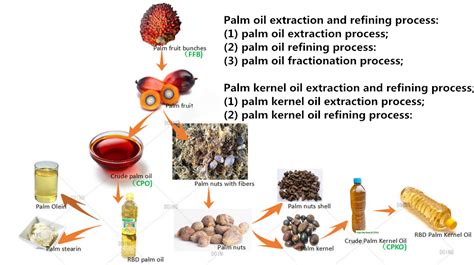 products of palm oil extraction and refining palm oil extraction faq different palm oil