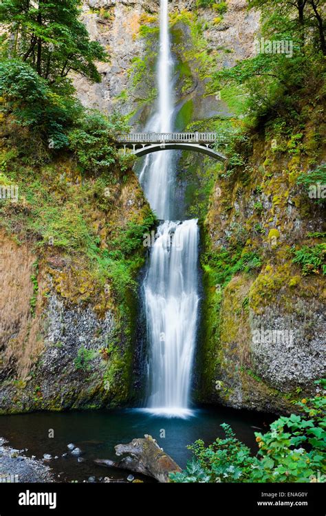Multnomah Falls And Bridge In The Columbia River Gorge Oregon Stock