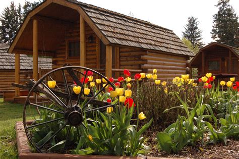 We did not find results for: Missoula KOA Holiday - Campground - Missoula, MT 59808