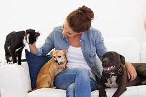 Keep in mind that major cities and metropolitan areas tend to have higher wages. 2021 Pet Sitting Rates | Prices Per Day or Overnight (Dogs ...