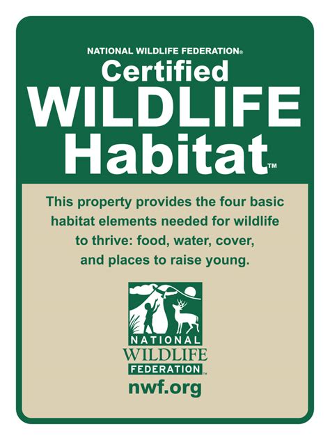 5 Attract Wildlife City Of Fort Lauderdale Fl