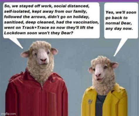 Liberal Sheep Imgflip