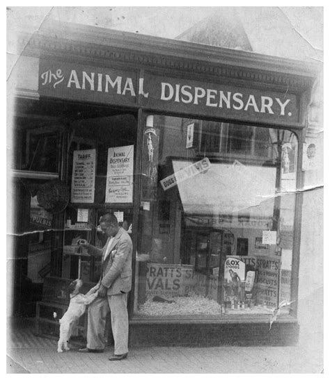 The Animal Dispensary Do You Remember The Shop My Brighton And Hove