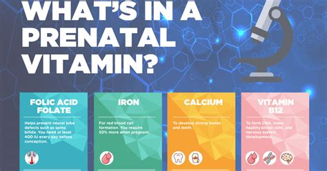 Whats In A Prenatal Vitamin Infographic
