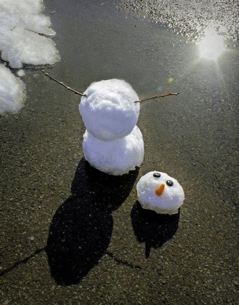 357 Melting Snowman Photos Free And Royalty Free Stock Photos From