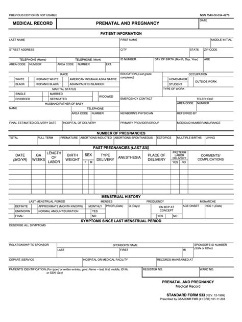 Pregnancy Health Record Fill Online Printable Fillable Blank