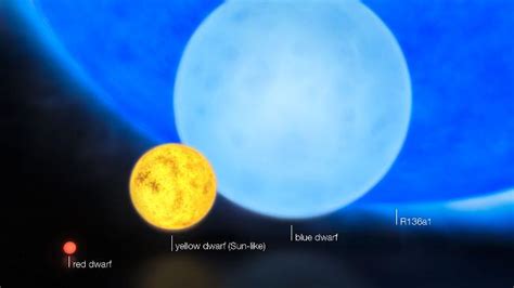Monster Star R136a1 Is Whopping 265 Times Bigger Than The Sun News