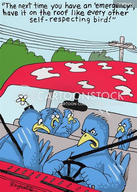 Bird Droppings Cartoons And Comics Funny Pictures From Cartoonstock