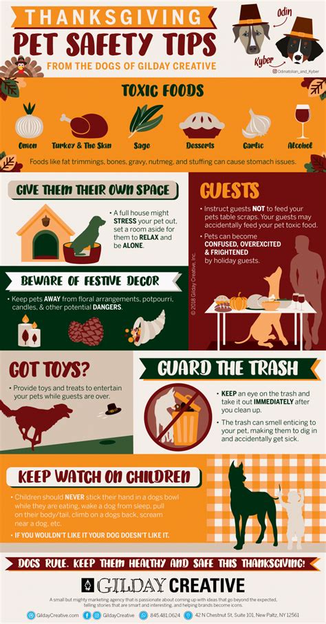 Thanksgiving Infographic On Pet Safety Gilday Creative