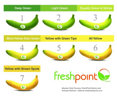 Banana Stages Chart A Visual Reference Of Charts Chart Master
