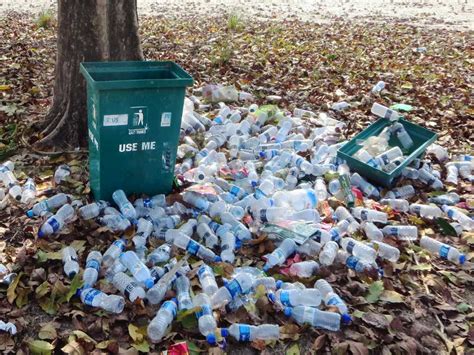Sunderbans Litter Litter Is More Common Than Wildlife Alon Flickr