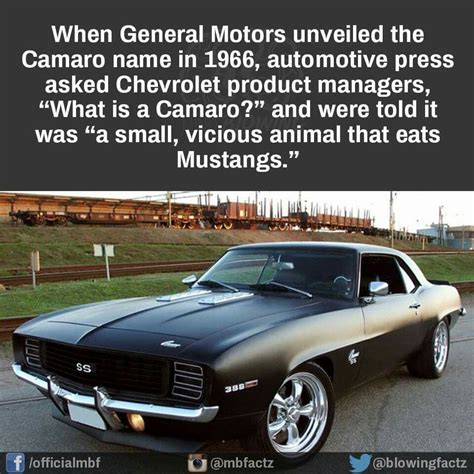 Pin By Bluestar Auto Inspections On Cool Rides Funny Facts Wtf Fun