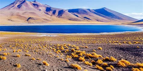 The BEST Atacama Desert εκδρομές και πράγματα που πρέπει να κάνετε το
