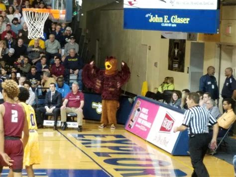 The Mascot Of St Josephs University The Hawk Checks Out The Action