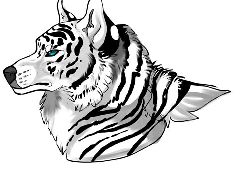 White Tiger Wolf By Ricenator On Deviantart