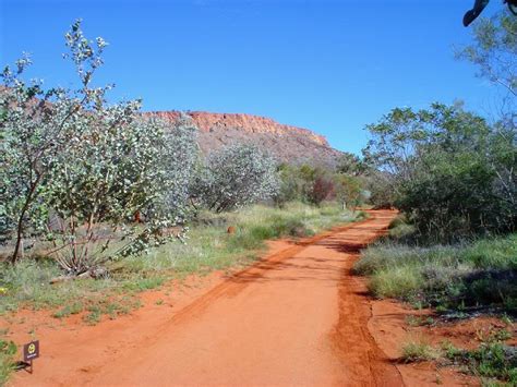 Photos, address, and phone number, opening hours, photos, and user reviews on yandex.maps. Australien Sehenswürdigkeiten: Alice Springs Desert Park