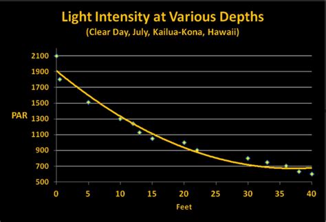 Crunching the Numbers: Light Intensity on a Hawaiian Coral ...