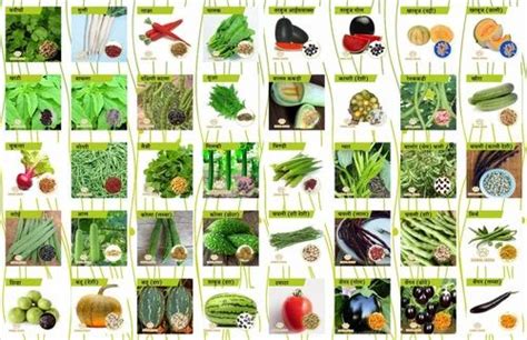 Natural Green Vegetable Kitchen Garden Seeds Packaging Type Air Tight