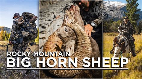 885 Yd Rocky Mountain Big Horn Sheep Sheep Slam Complete YouTube