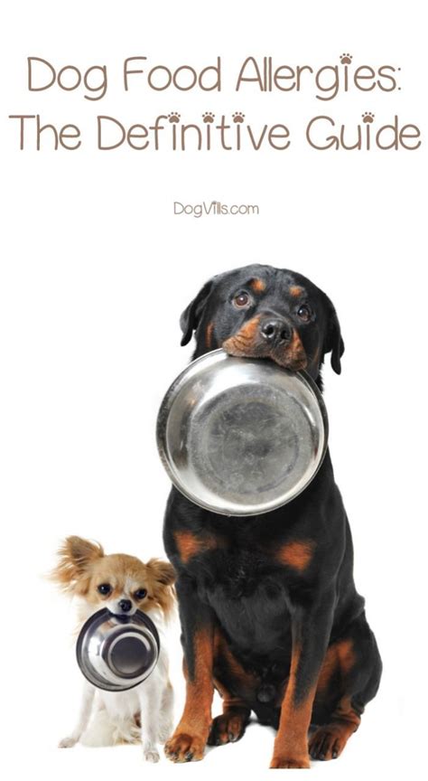 The best way to make sure a recipe has what it takes is to choose one created by an expert with training in dog nutrition, says jennifer larsen, dvm, phd. Food Allergies in Dogs: The Definitive Guide | Make dog ...