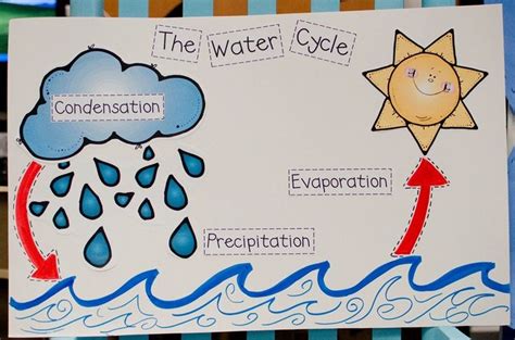 Learning About Weather The Water Cycle Classroom Bulletin Board