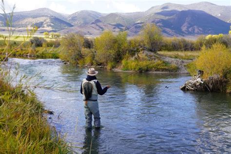 13 Best Fly Fishing Rivers In Montana Fishmasters Com