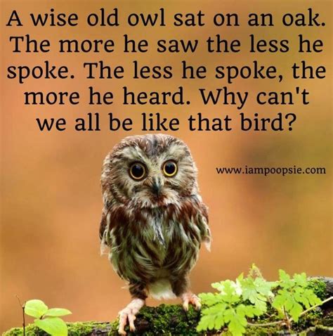 Owl Saying Who
