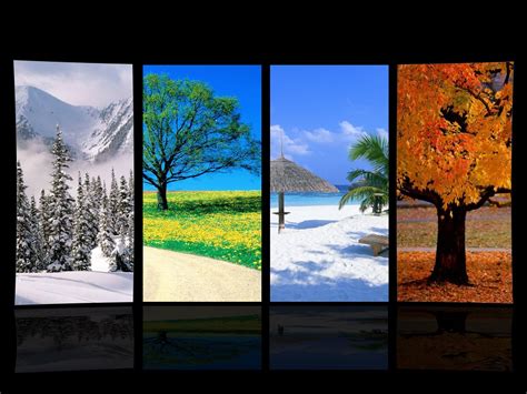 Обои Four Seasons в интерьере 84 фото
