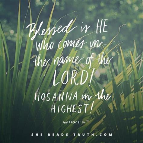 Find the best palms quotes, sayings and quotations on picturequotes.com. Matthew 21:9 | Happy palm sunday, Hosanna in the highest, Palm sunday quotes