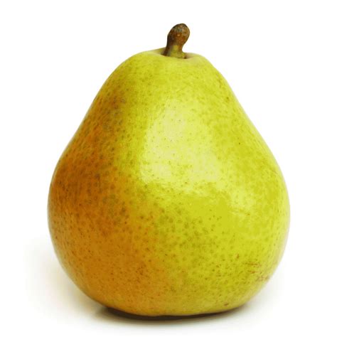Poire Anjou