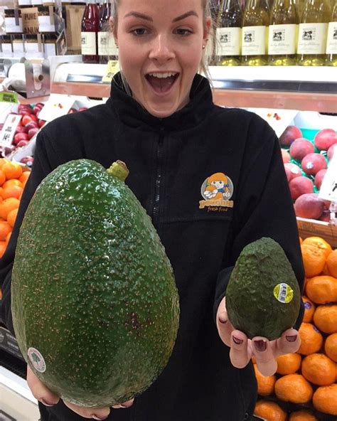 Avocado Farmer Reveals Enormous Avozilla Daily Mail Online