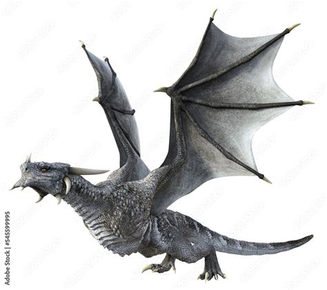 3d Rendered Grey Wyvern A Bipedal Dragon Isolated On Transparent