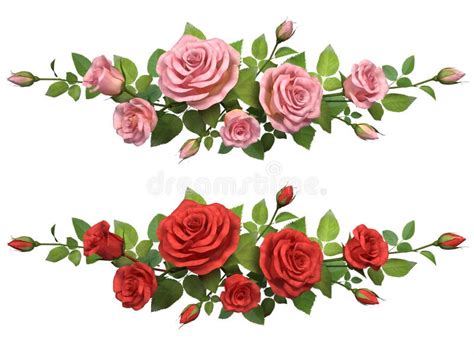 Ramo De Rosas Dos Botões E Das Folhas Cor de rosa Ilustração do Vetor