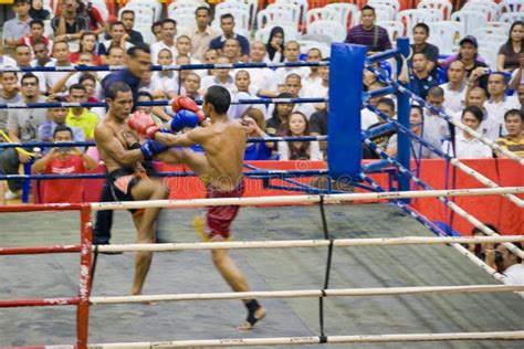 Women S Kick Boxing Action Editorial Stock Photo Image Of Stadium