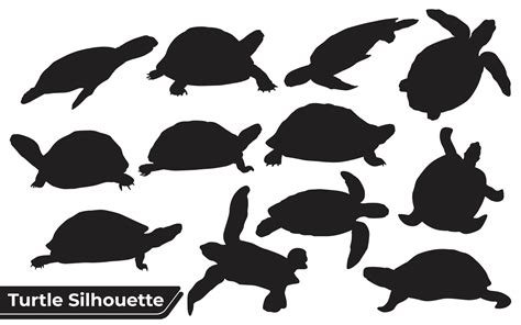 Collection Of Animal Turtle Silhouette In Different Poses 4813663