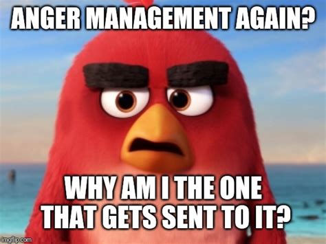 Angry Birds Finally Getting The Help They Need Imgflip